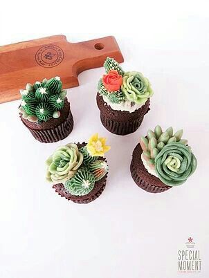  Delicias suculentas - 8