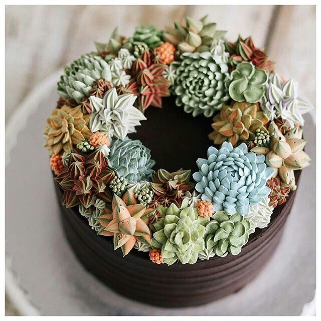  Delicias suculentas - 11