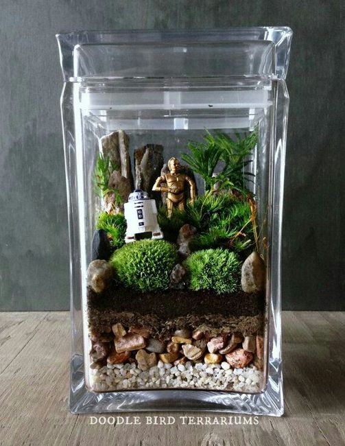  Decoracion con terrarios 💚 - 11
