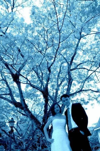 Confía en mí, soy fotógrafo - 17