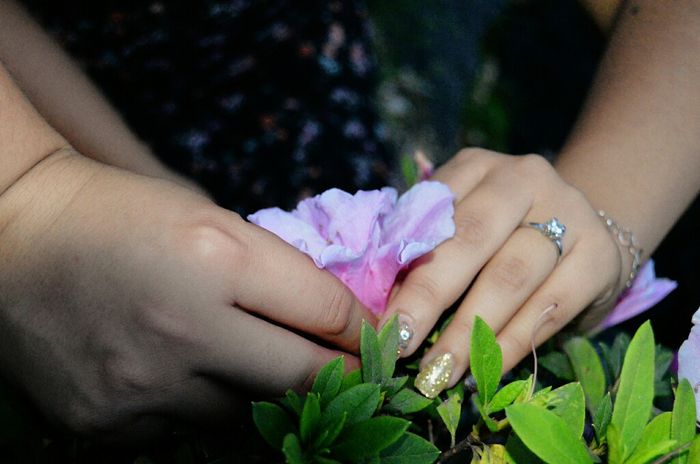 Anillo esperado - 1