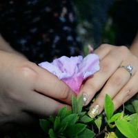 Anillo esperado - 1