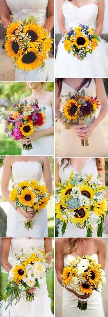 GIRASOLES