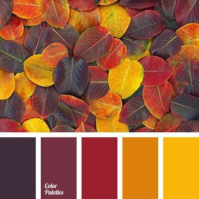Otoño1