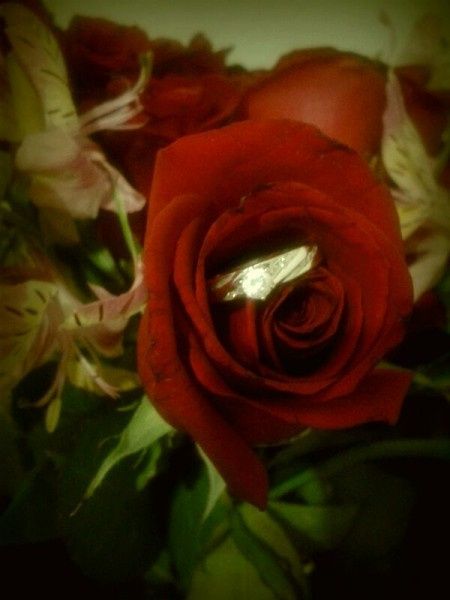 Mi Anillo