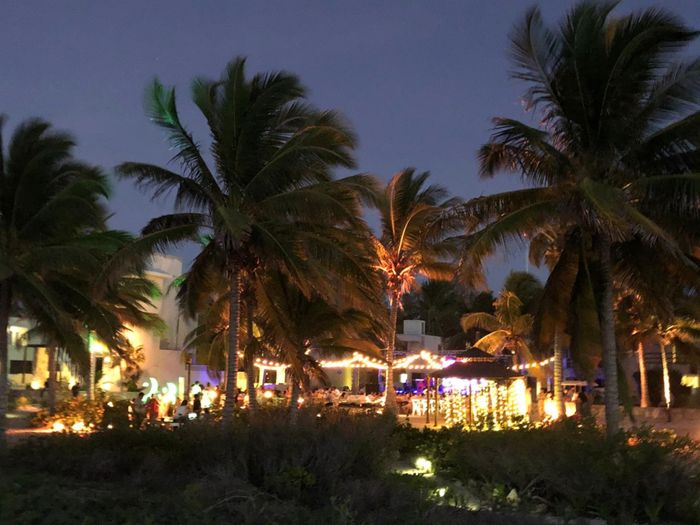 Quién se quiere casar el 15 feb en la playa?! - 2