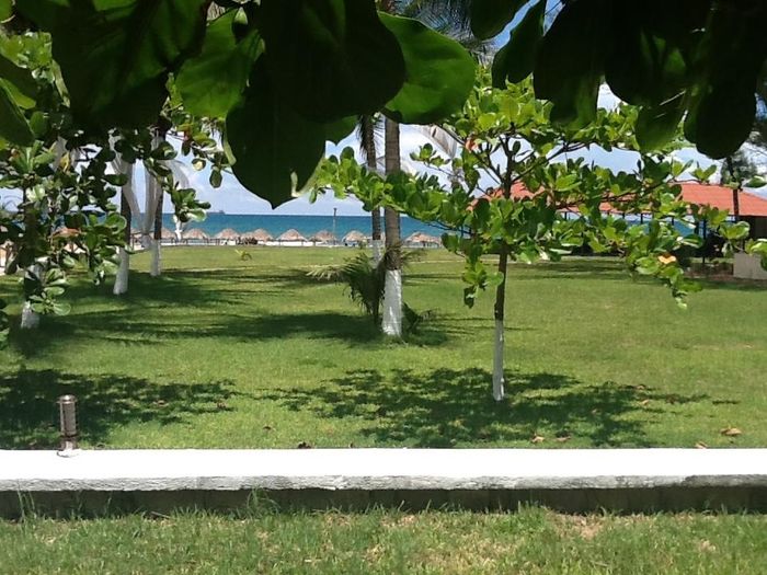 lugar de nuestra recepción