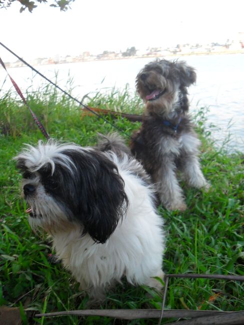 mis babys!!