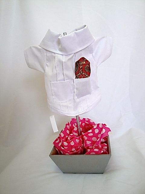 guayabera  para nuestros bbs