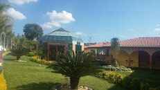 Soy aleit gal y esta es mi cartilla de boda - 4