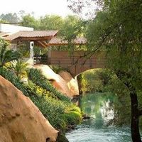 Soy aleit gal y esta es mi cartilla de boda - 2