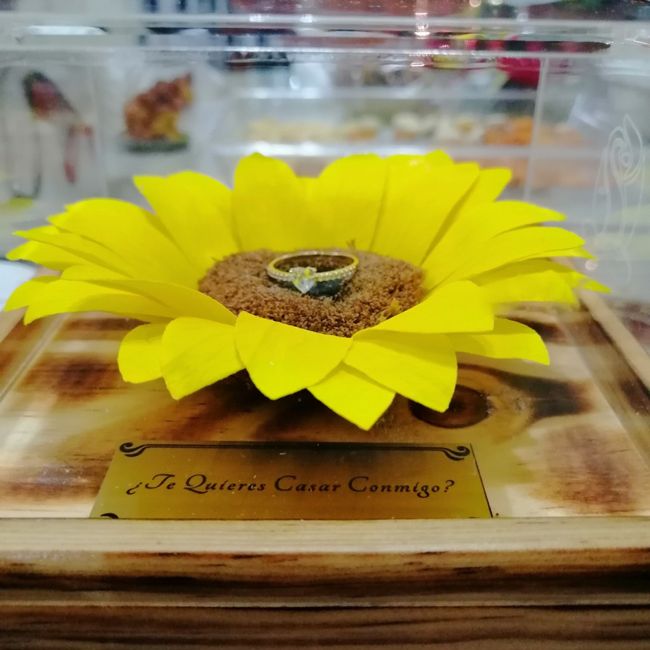 Comprometida Oficialmente!!! 😍♥️💍 1