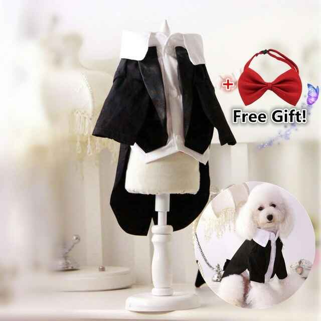 Ropa de mis perros! (pedido aliexpress) - 1
