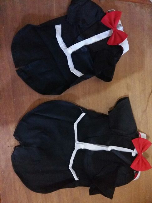 Ropa de mis perros! (pedido aliexpress) - 2