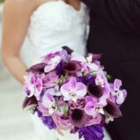 En duda el color - 1