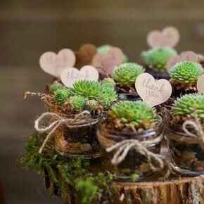 Recuerdos diy - 2