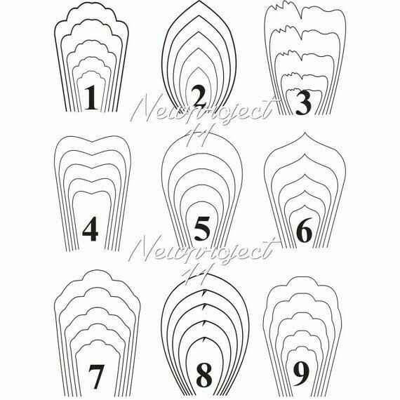  Flores Gigantes😔👎 - 2