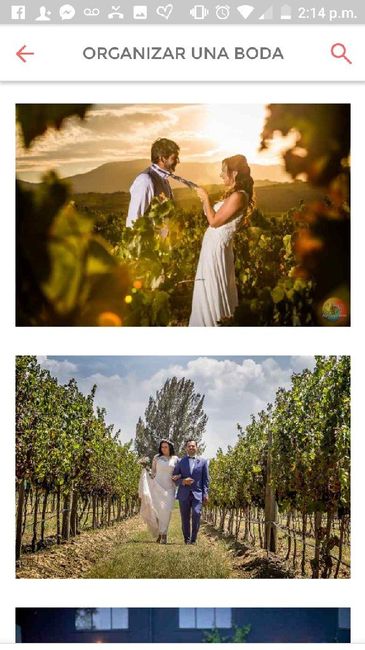 Inspiración: Boda en viñedos 👰🏼🤵🏻 - 1