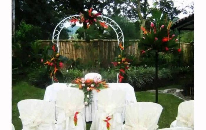 Ideas 💡 para organizar mi boda 👰🏼 “civil” - 4