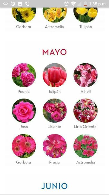 Las flores según la temporada - 1