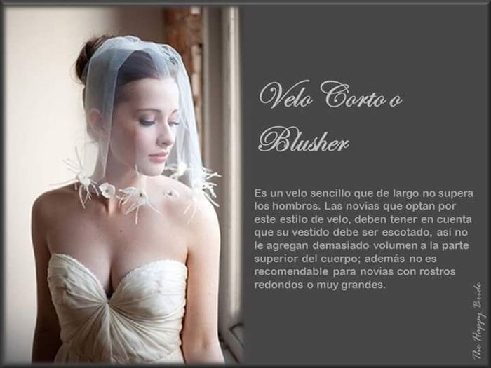 Tipo de velos ❤️ - 5