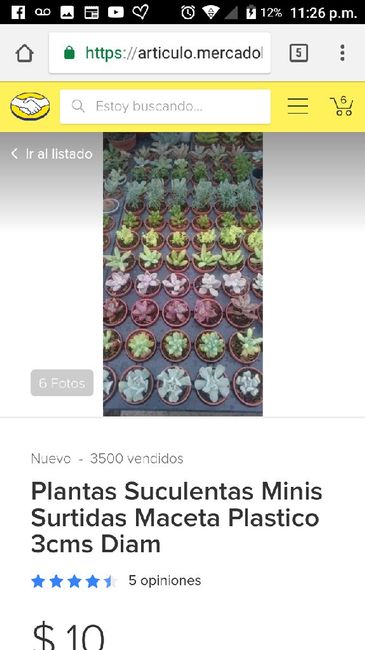 Plantitas para recuerdos - 1