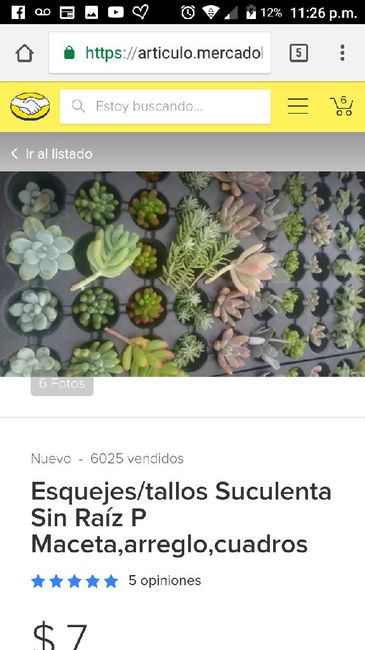 Plantitas para recuerdos - 2