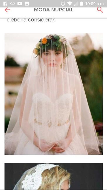 Mágicos velos que toda novia querrá para su gran día!!! - 2