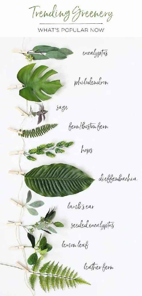 Boda estilo greenery - 7