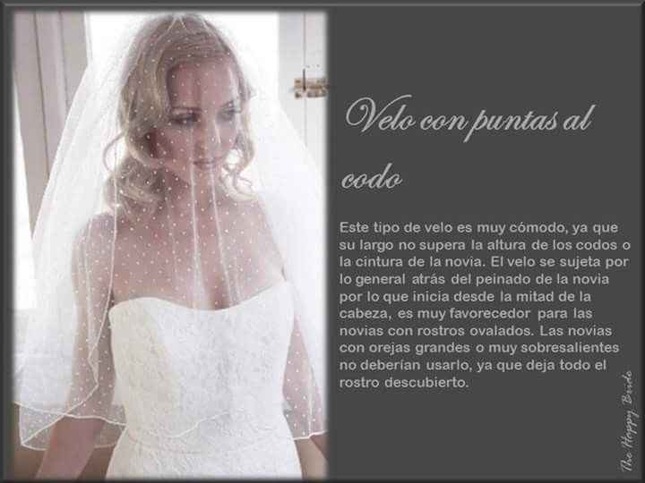 Tipo de velos ❤️ - 6