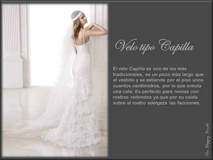 Tipo de velos ❤️ - 8