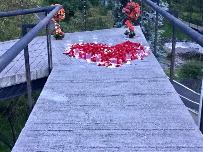 ¿Cómo te pidió que te casaras con él? - 1