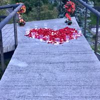 ¿Cómo te pidió que te casaras con él? - 1