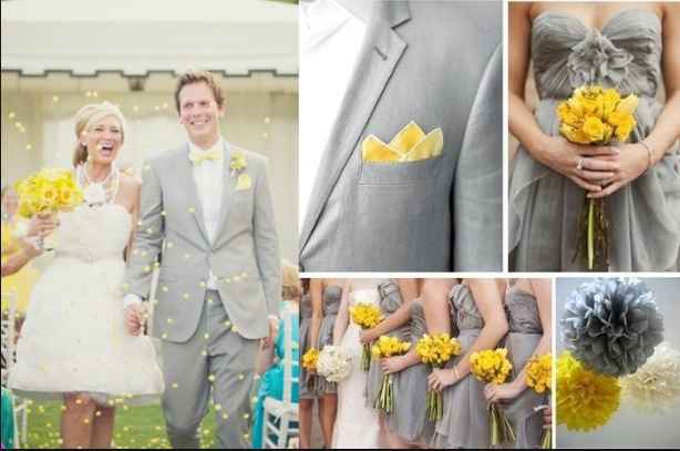 Sera Amarillo y Gris