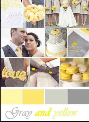 Sera Amarillo y Gris