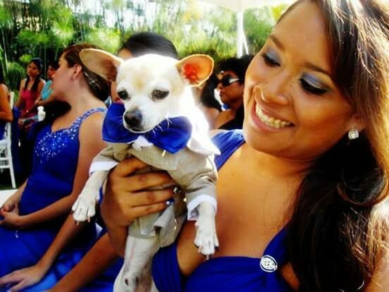 Mascotas en la boda ? si! - 1