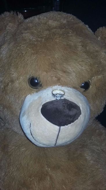 Mi oso y ni anillo 