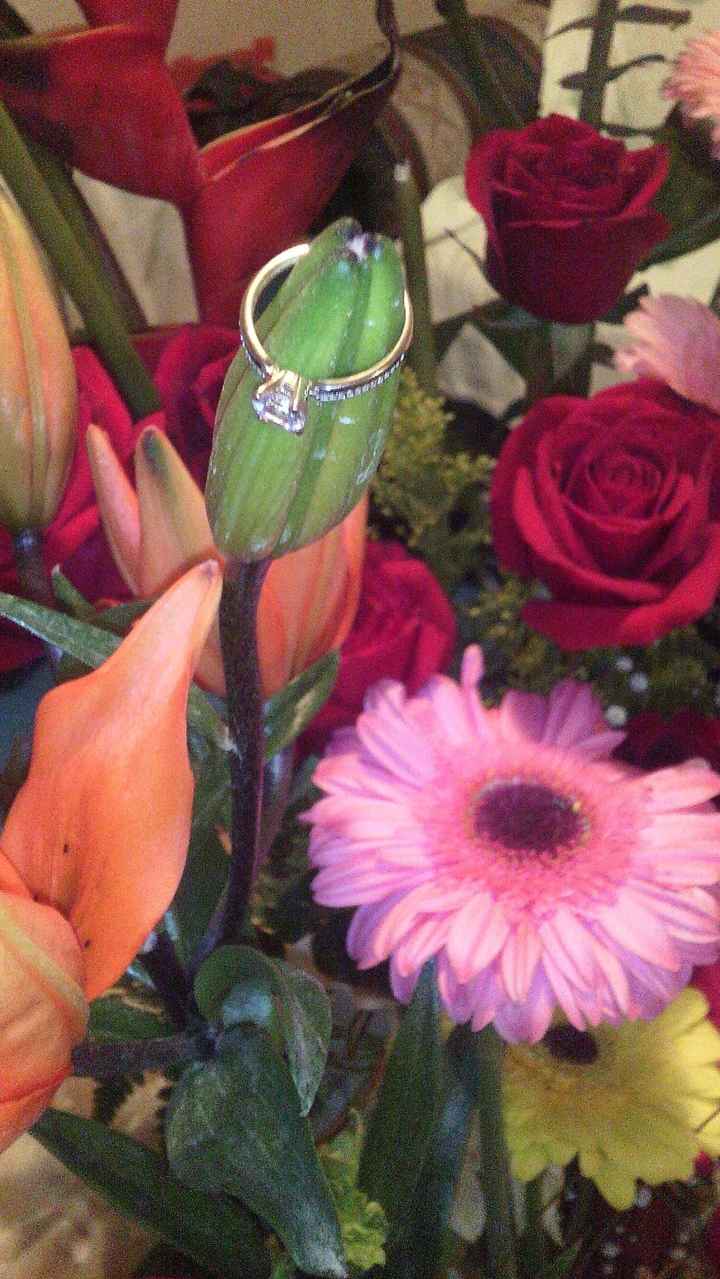 Lo ame