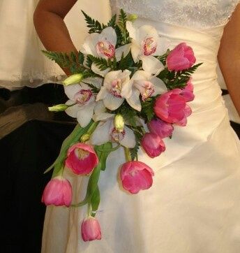 Naturales 💐 - 4