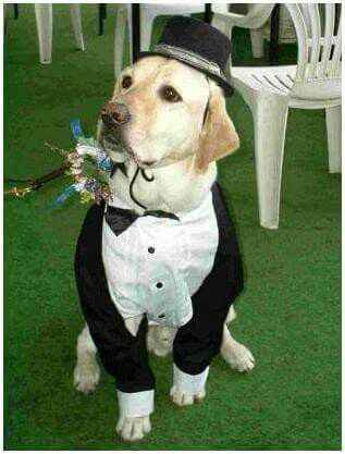 La sesión casual con tu amigo especial!! - 1