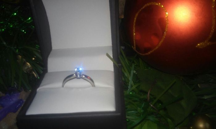 Por fin me lo pidió!!! - 2