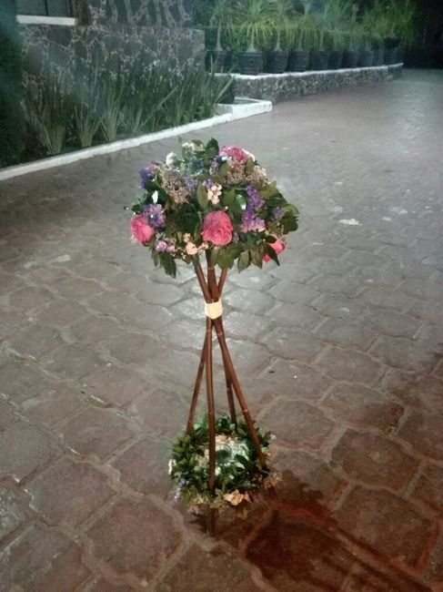 Avances a 51 dias - 2