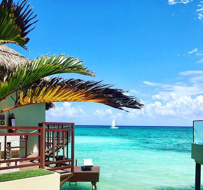 Alguien irá aquí para su luna de miel 🍯🌛 - 2