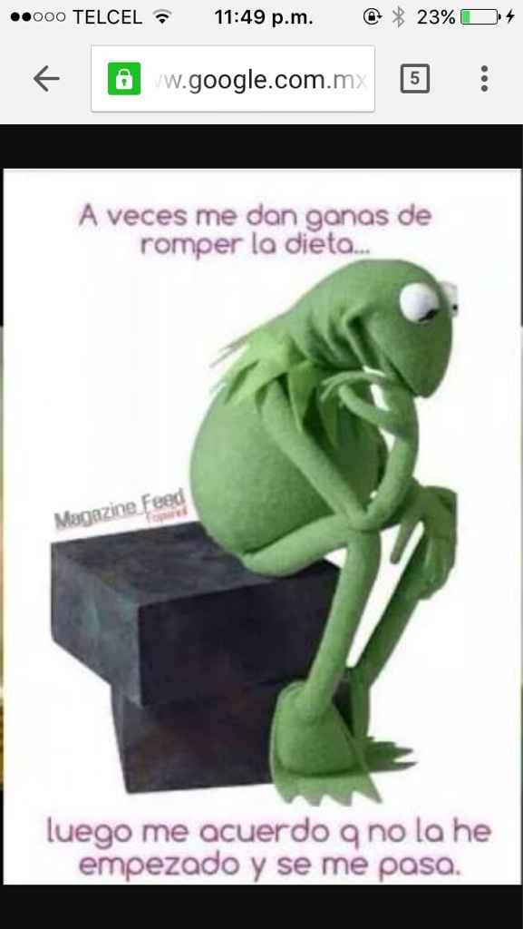 Fuerza de voluntad !!! y la dieta??? - 3