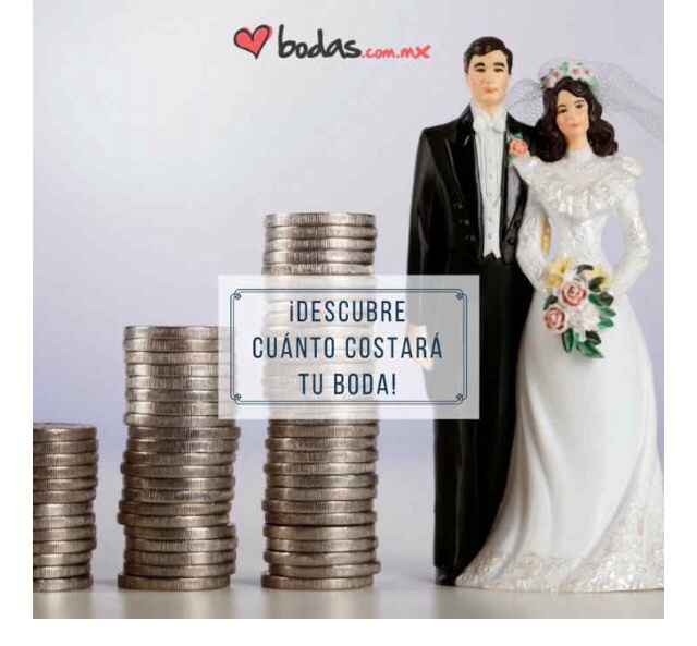 Mi boda costará lo que vale un riñón!! - 1