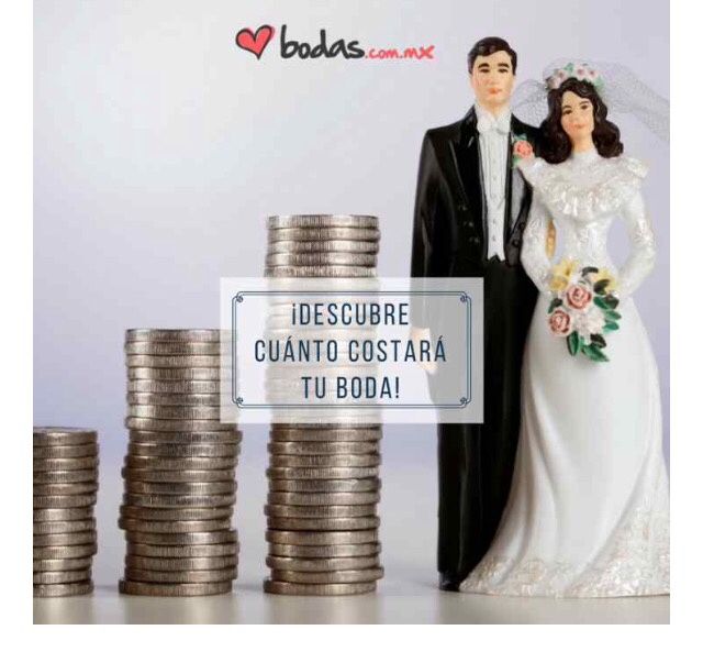 Mi boda costará lo que vale un riñón!! - 1