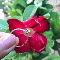 Reto con regalo: Sube una foto de tu anillo🎁 - 1