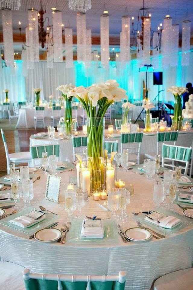 MI BODA DE ALCATRACES