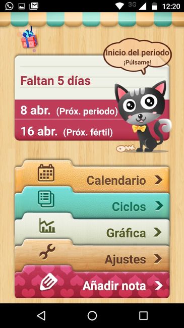 Periodo menstrual - 2