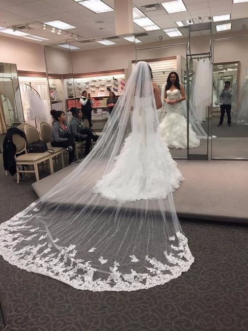 casi queria llorar lo admito 